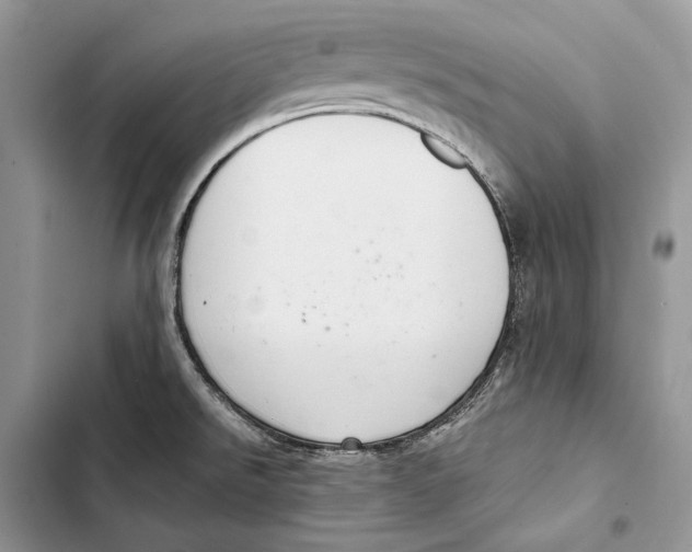 X0000103501526200810031617