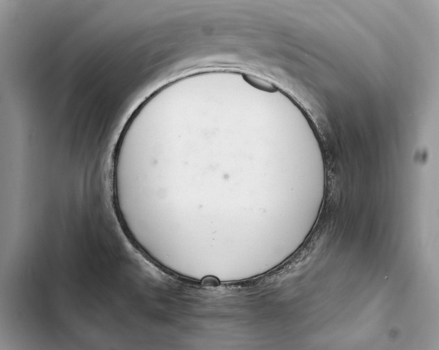 X0000103501527200810031617