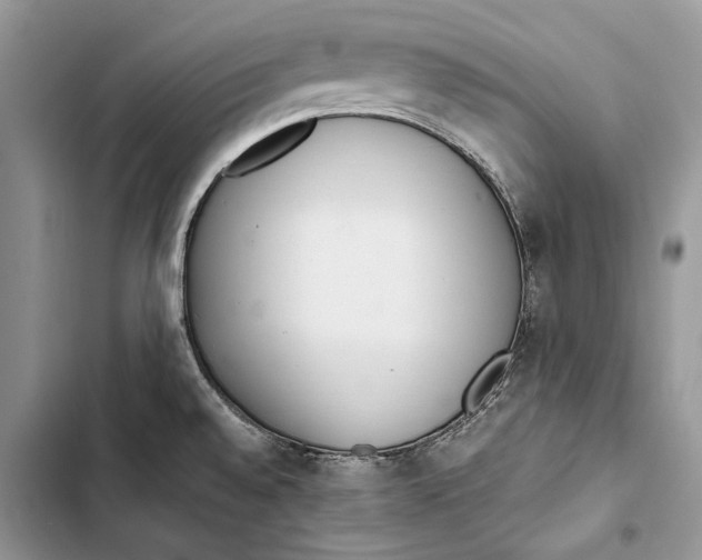 X0000103501528200810031617