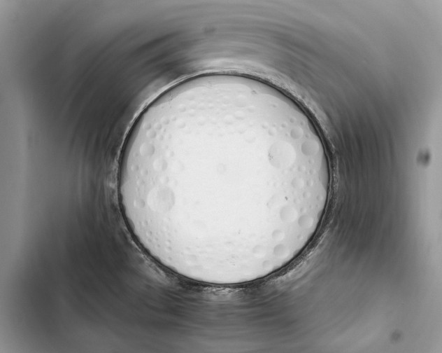 X0000103501529200810031617