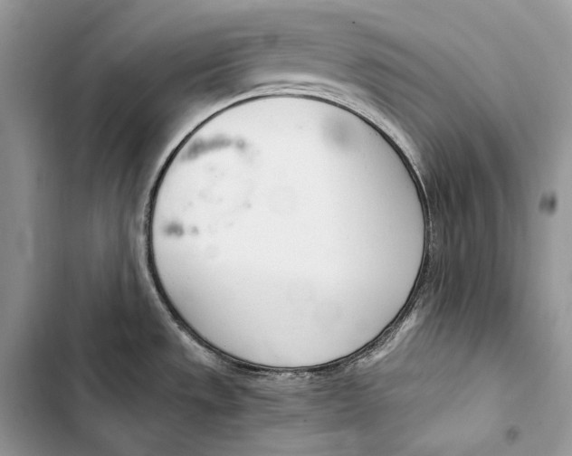 X0000103501533200810031617