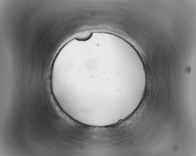 X0000103501534200810031617