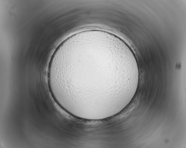 X0000103501535200810031617