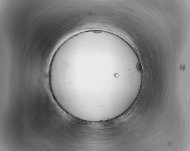 X0000103501536200810031617