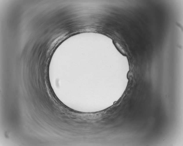 X0000103500001200810101057