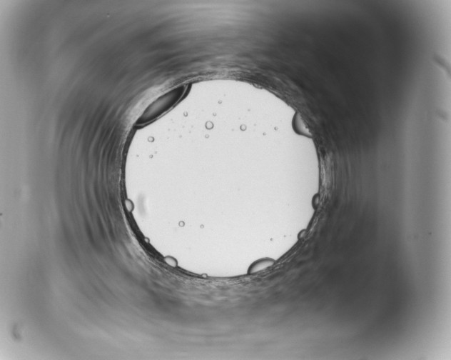 X0000103500003200810101057