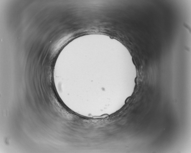 X0000103500005200810101057