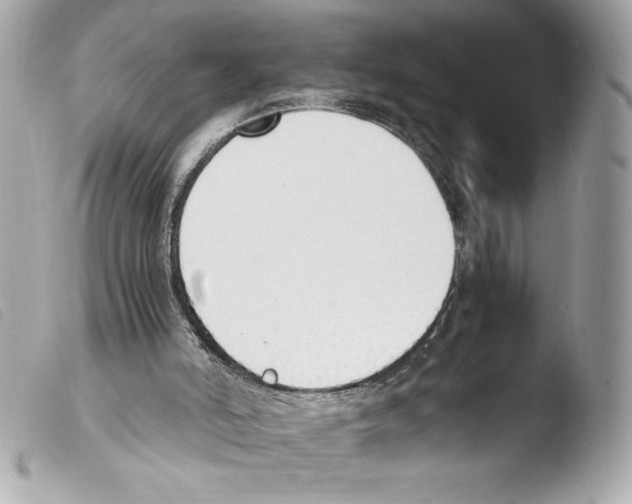 X0000103500006200810101057