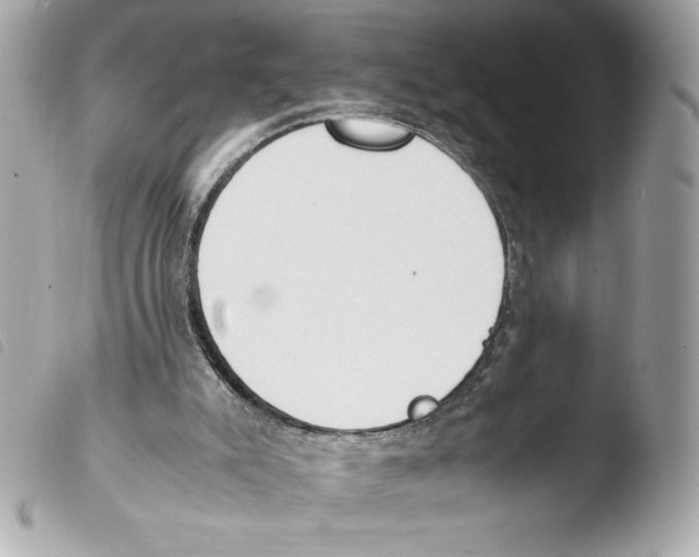 X0000103500007200810101057