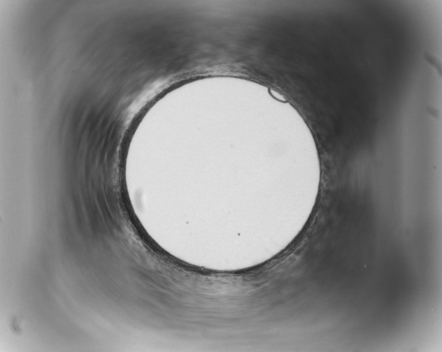 X0000103500008200810101057