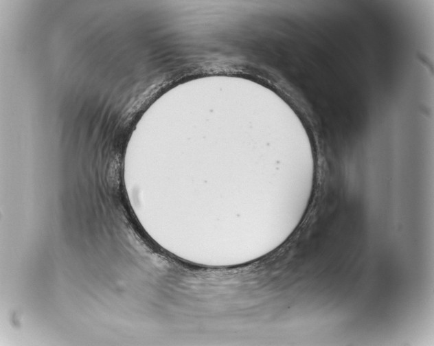 X0000103500009200810101057