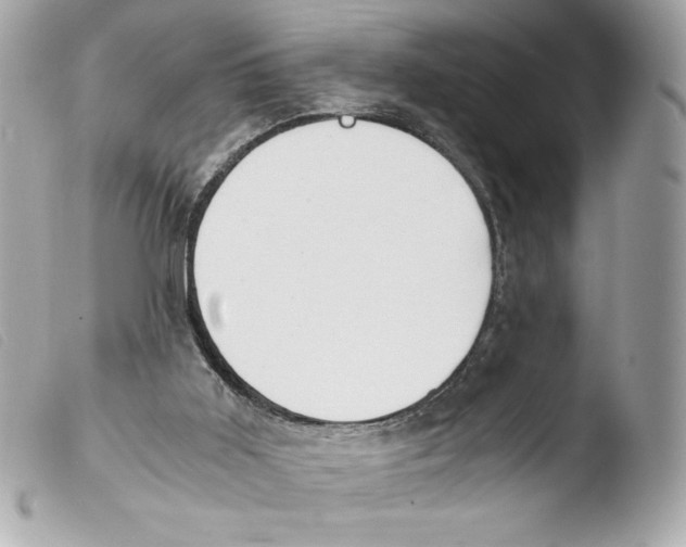 X0000103500011200810101057