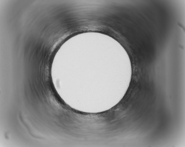 X0000103500012200810101057