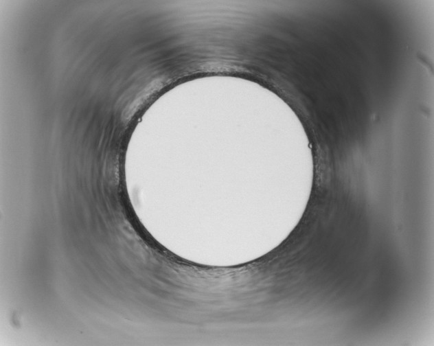 X0000103500015200810101057