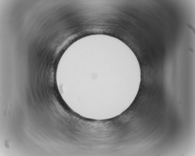 X0000103500016200810101057