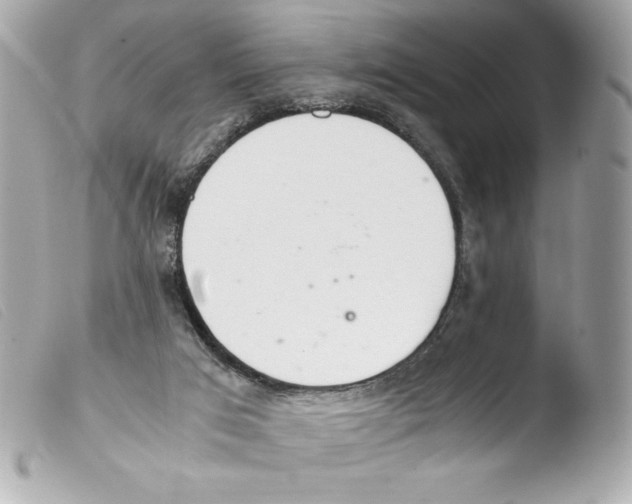 X0000103500017200810101057