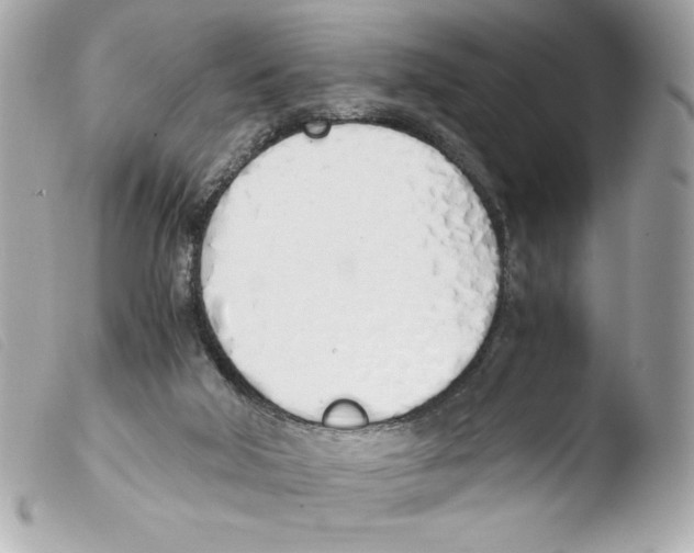 X0000103500018200810101057