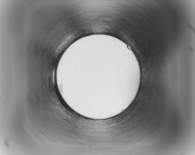 X0000103500019200810101056