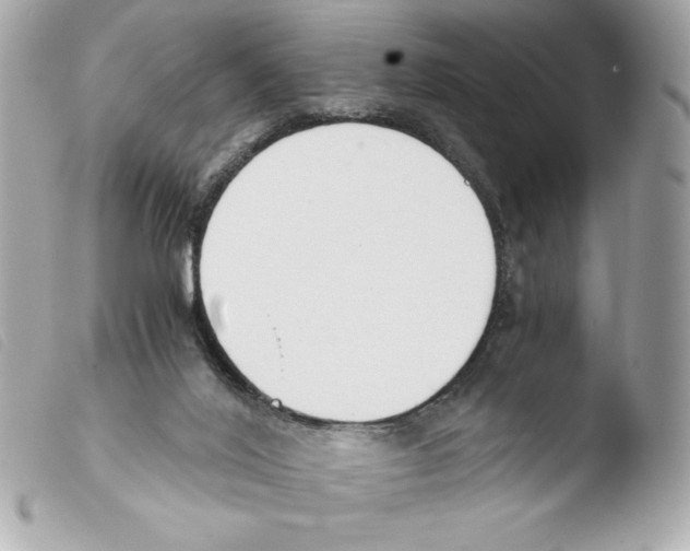 X0000103500020200810101056