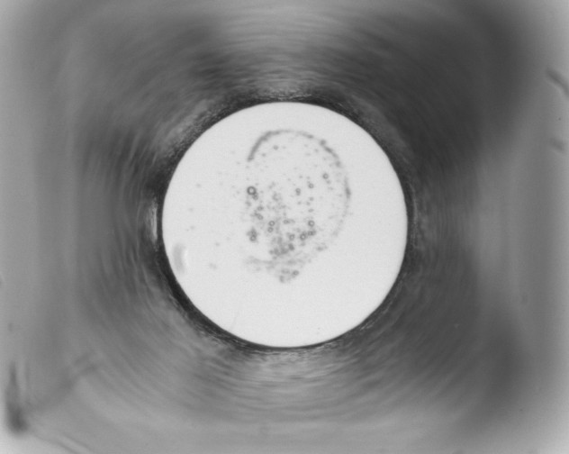 X0000103500021200810101056