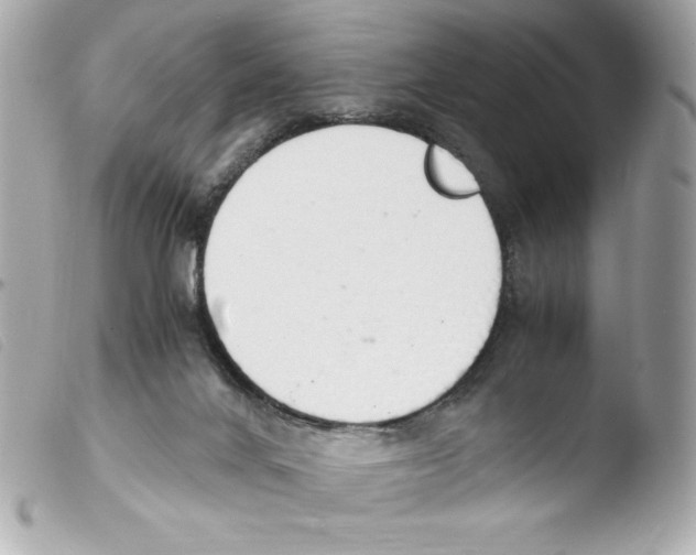 X0000103500024200810101056