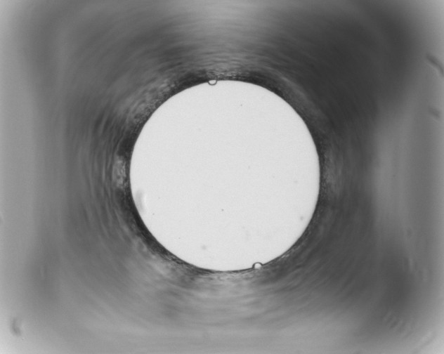 X0000103500025200810101056