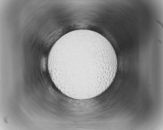 X0000103500026200810101056