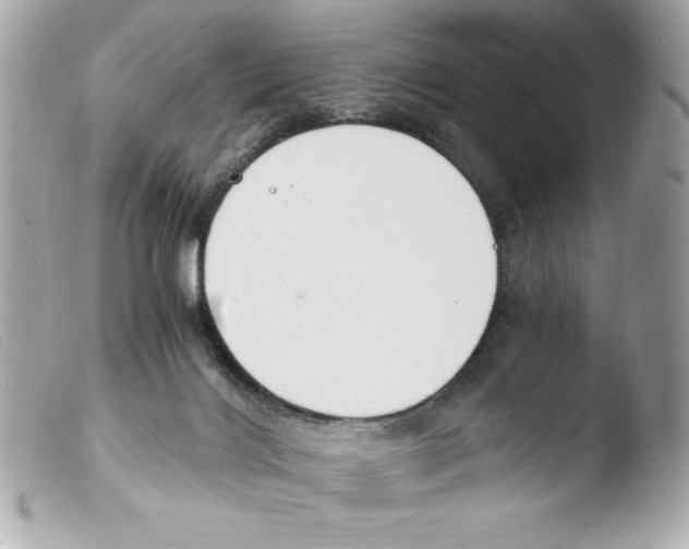 X0000103500028200810101056