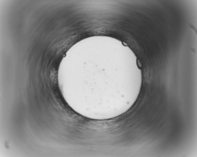 X0000103500029200810101056