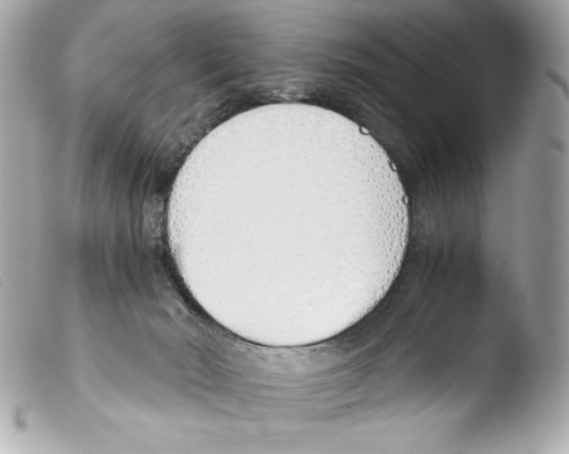 X0000103500030200810101056