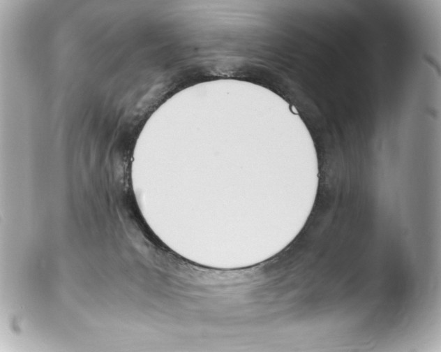 X0000103500031200810101056