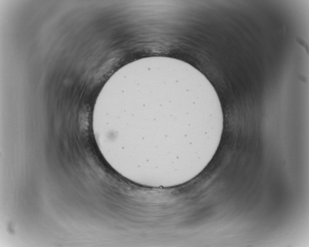 X0000103500032200810101056