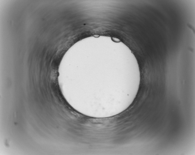 X0000103500033200810101056