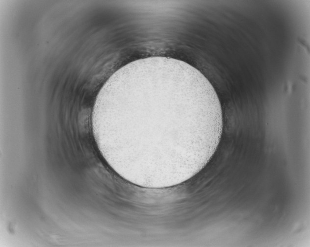 X0000103500034200810101056