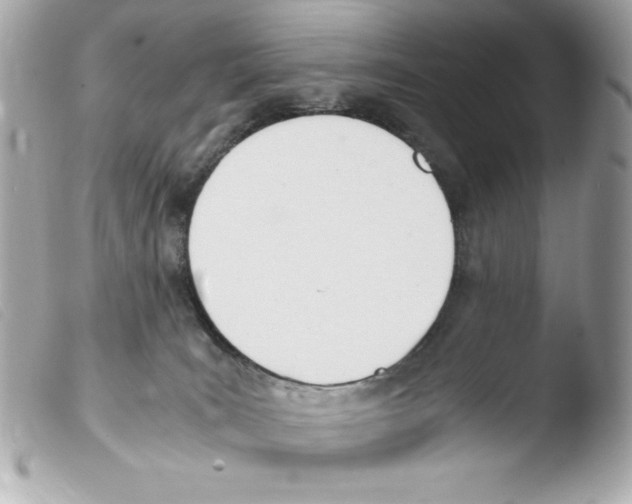 X0000103500035200810101056