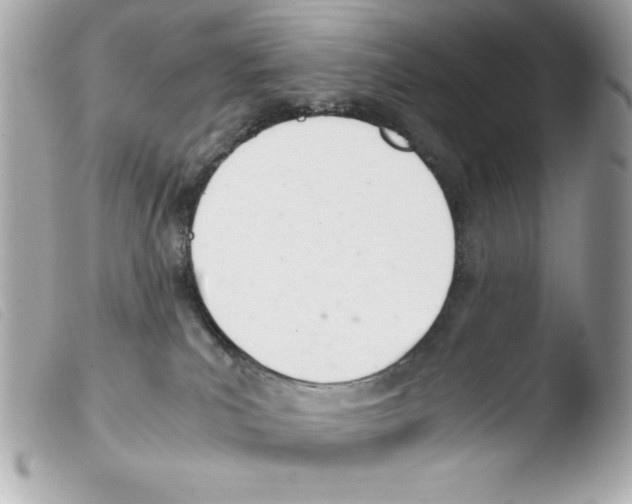 X0000103500039200810101056