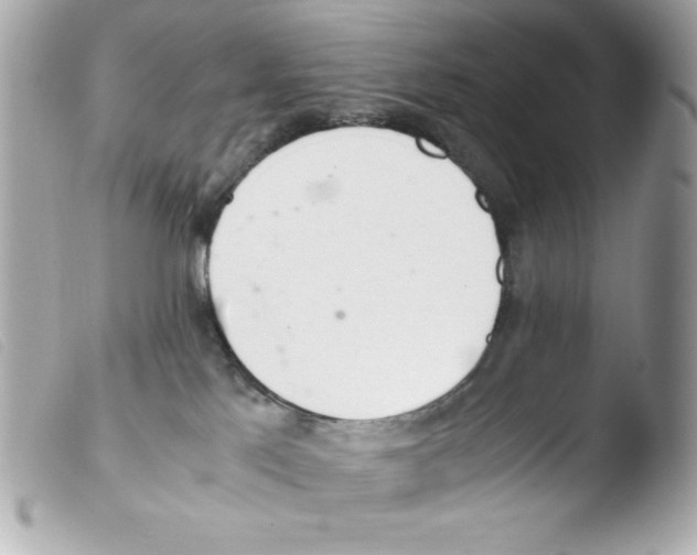 X0000103500041200810101056