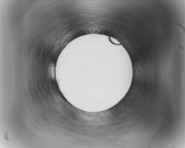 X0000103500042200810101056