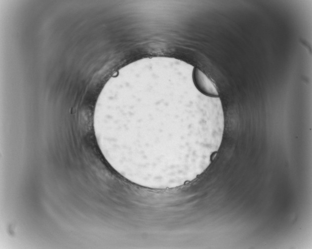 X0000103500043200810101056