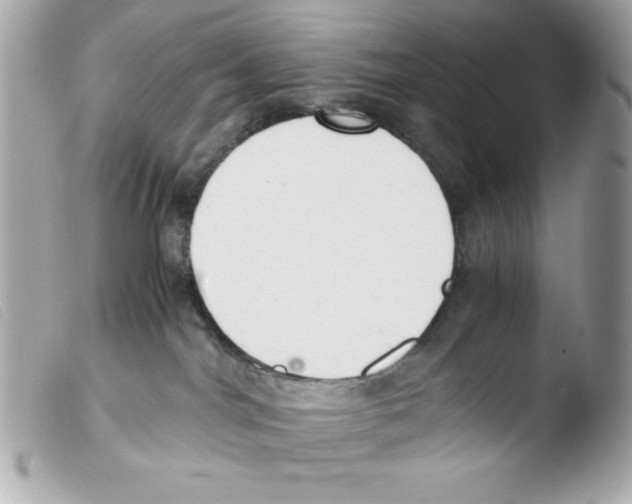 X0000103500044200810101056