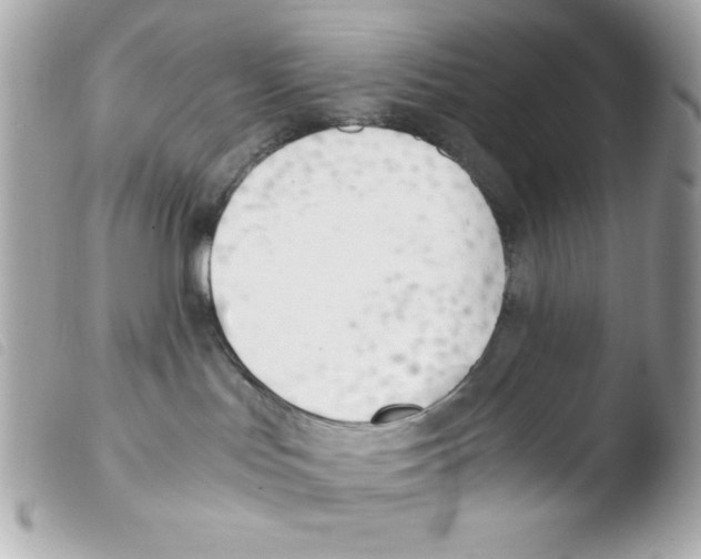 X0000103500047200810101056