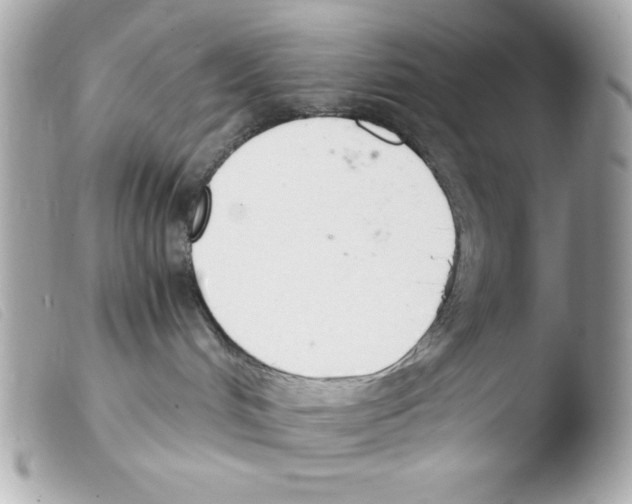 X0000103500048200810101056