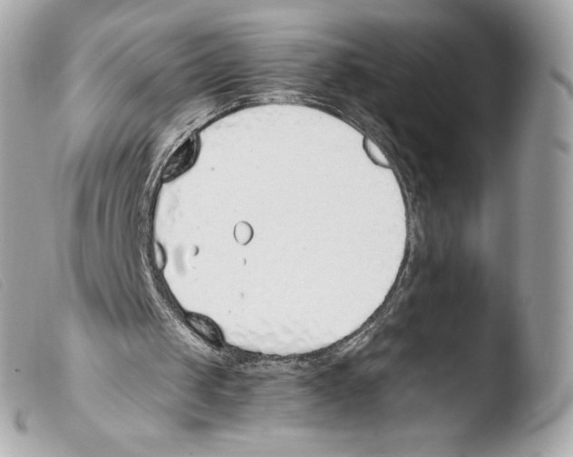 X0000103500049200810101055