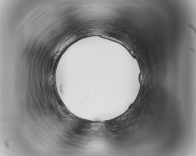 X0000103500050200810101055