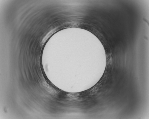 X0000103500051200810101055