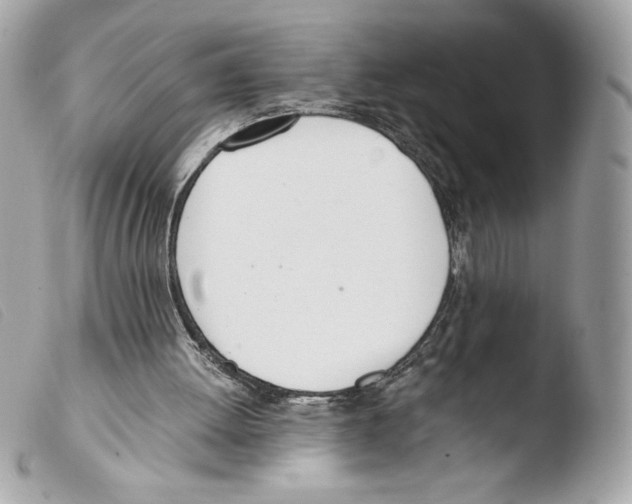 X0000103500052200810101055