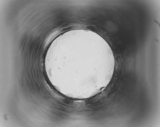 X0000103500053200810101055