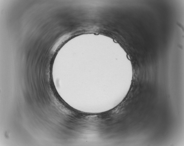 X0000103500054200810101055