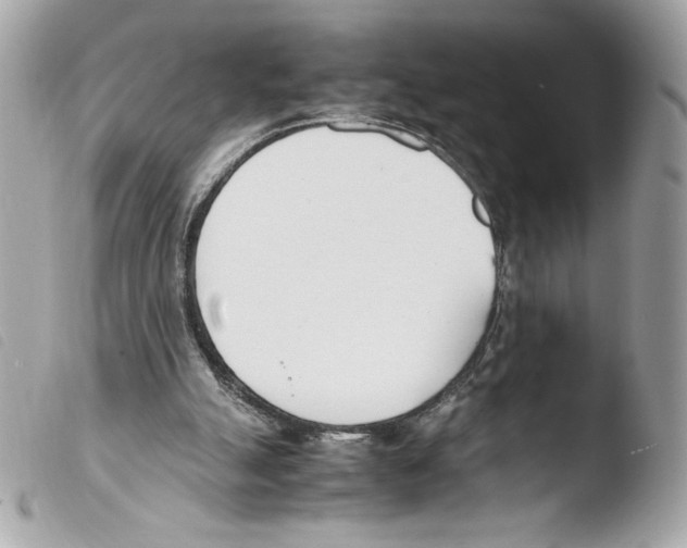 X0000103500055200810101056