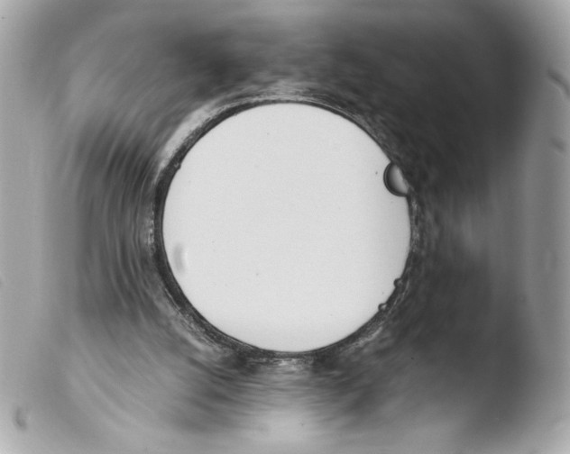 X0000103500056200810101056